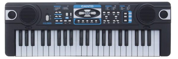 Piano Électronique 44 Touches avec Microphone – Music Workstation – Image 2