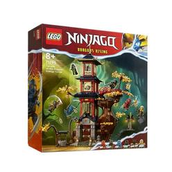LEGO Ninjago Dragons Rising – Sets de construction