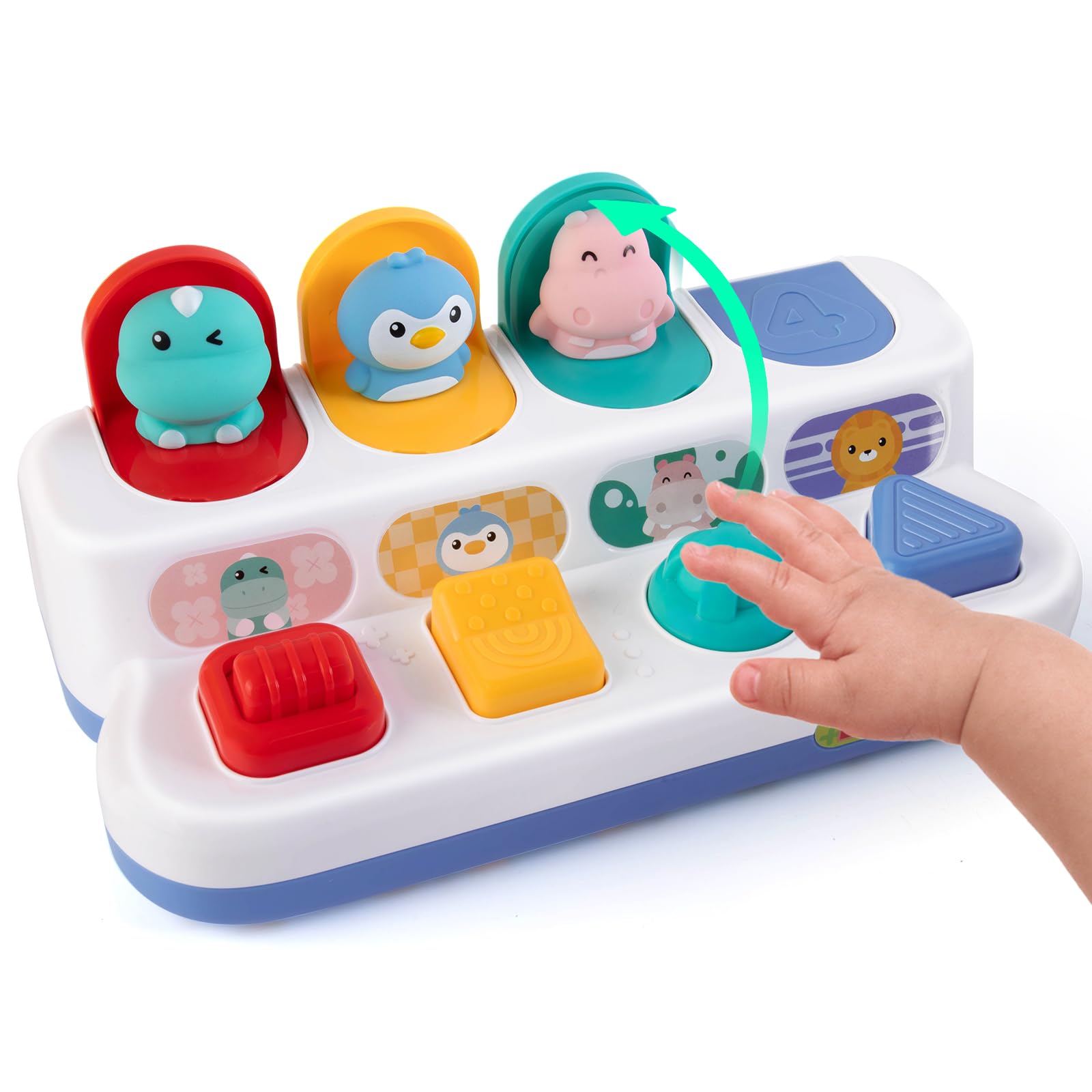 Jouet Pop-Up Animaux pour Bébé – Jeu Éducatif Interactif 18 Mois+ – Image 3