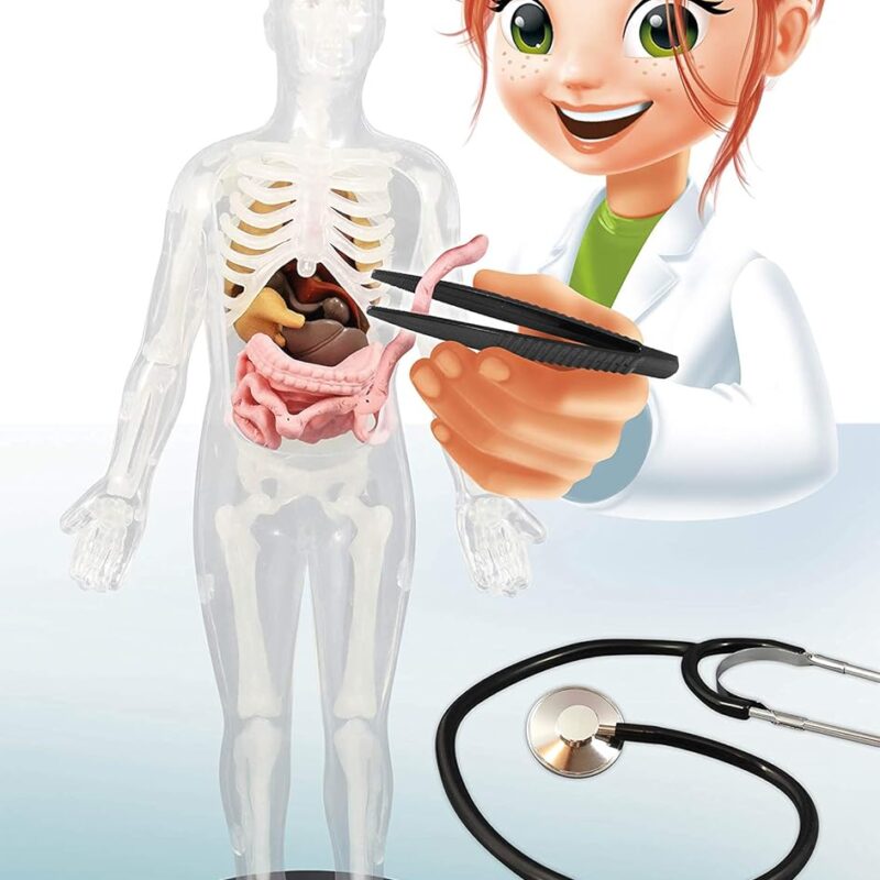 Corps Humain – Kit Scientifique Anatomie pour Enfants
